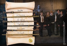 Συλλογή ραβδιών του στρατού του Dumbledore (Harry Potter)
