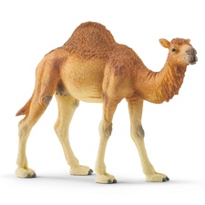 Μινιατούρα Αραβική καμήλα - Schleich-S #SC14832