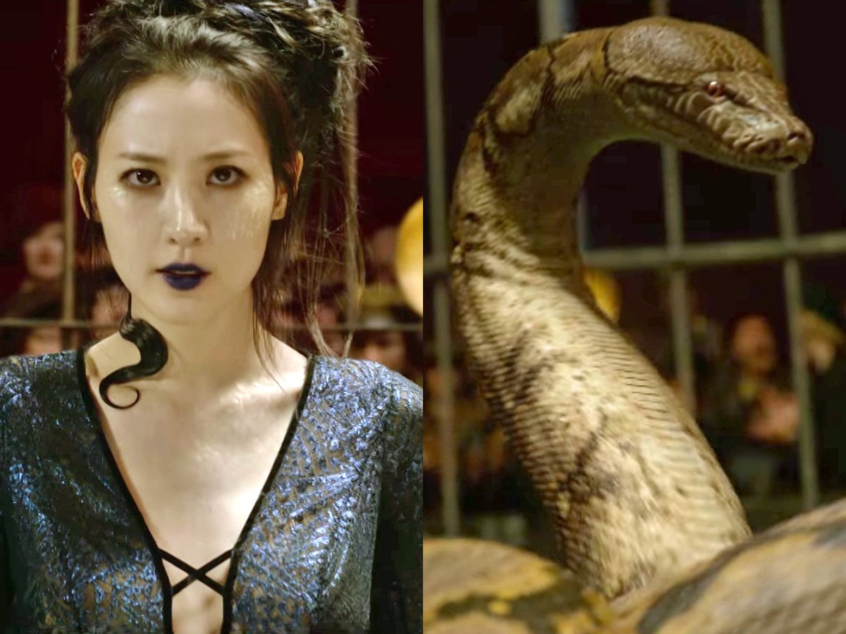 Magical Creatures - Nagini (Harry Potter) - Noble Collection #NN7544